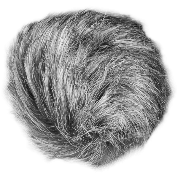 Zoom WSU-1 Hairy Windscreen (ZWSU1) on Sale