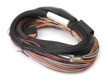 Haltech IO 12 Expander Box 8ft Flying Lead Harness (A B Box) Online Sale