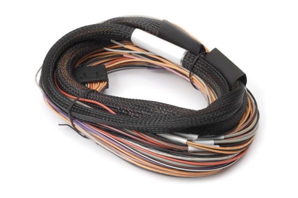 Haltech IO 12 Expander Box 8ft Flying Lead Harness (A B Box) Online Sale