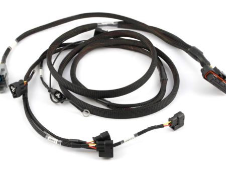 Haltech Toyota 2JZ Elite 2000 2500 Terminated HPI6 Ignition Harness Cheap