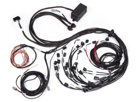 Haltech Ford Falcon BA BF Barra 4.0 Elite 2500 Terminated Harness w EV1 Injector Connectors Online Hot Sale