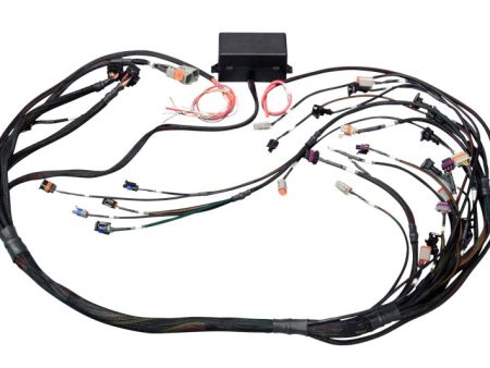 Haltech GM GEN III LS1 & LS6 (Non DBW) Elite 2000 2500 Terminated Harness w EV1 Injector Connectors Fashion