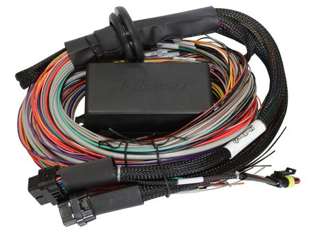 Haltech Elite 1500 8ft Premium Universal Wire-In Harness Sale