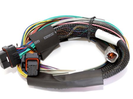 Haltech Elite 1500 8ft Basic Universal Wire-In Harness (Excl Relays or Fuses) Online