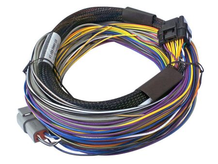 Haltech Elite 750 8ft Basic Universal Wire-In Harness For Discount