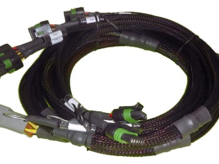 Haltech Big Block Small Block Ford V8 8 Channel Individual High Output IGN-1A Inductive Coil Harness Hot on Sale