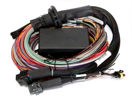 Haltech Elite 2500 & 2500 T 8ft Premium Universal Wire-In Harness For Sale