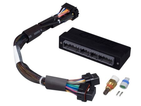 Haltech Mazda Miata NA 1.6 1.8 w 2 Plug 2 Row ECU Elite 1000 1500 Plug-n-Play Adaptor Harness Online Hot Sale