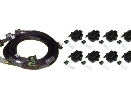 Haltech Big Small Block Ford V8 8 Channel Individual High Output IGN-1A Inductive Coil & Harness Kit Online Hot Sale