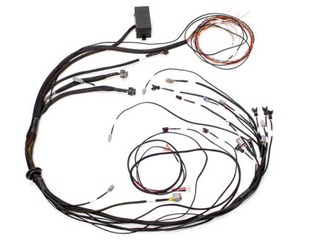 Haltech Mazda 13B (S6-8 CAS w Flying Lead Ignition) Elite 1000 Terminated Harness Discount