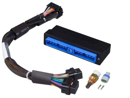 Haltech Nissan Patrol Safari Y60 Y61 (A T   TB45E Only) Elite 2000 2500 Plug-n-Play Adaptor Harness Online Sale