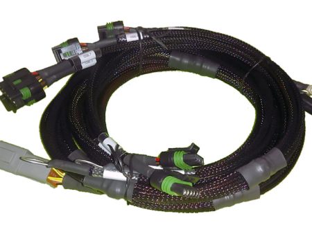 Haltech V8 BB SB GM Chrysler Hemi V8 8 Channel Individual High Output IGN-1A Inductive Coil Harness Fashion