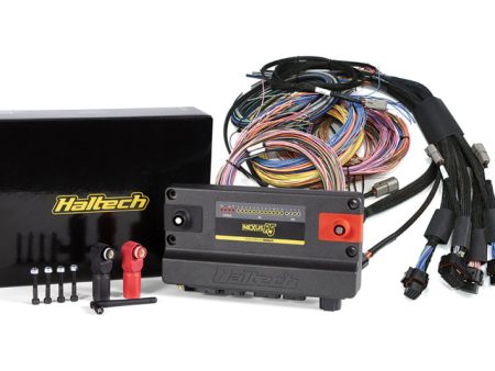 Haltech NEXUS R5 Universal Wire-In Harness Kit - 5M (16ft) Online Sale