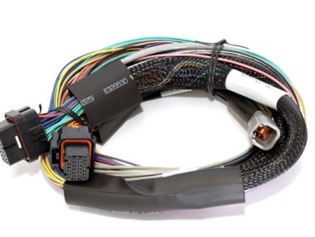 Haltech Elite 2500 8ft Basic Universal Wire-In Harness (Excl Relays or Fuses) Online Sale