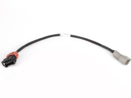 Haltech Nissan RB30 Single Cam w OEM Distributor Elite 2000 2500 CAS Sub-Harness Online Hot Sale