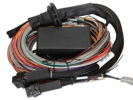 Haltech Elite 2500 & 2500 T 16ft Premium Universal Wire-In Harness Online Hot Sale