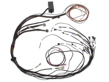 Haltech Mazda 13B (S4 5 CAS w Flying Lead Ignition) Elite 1000 Terminated Harness Sale