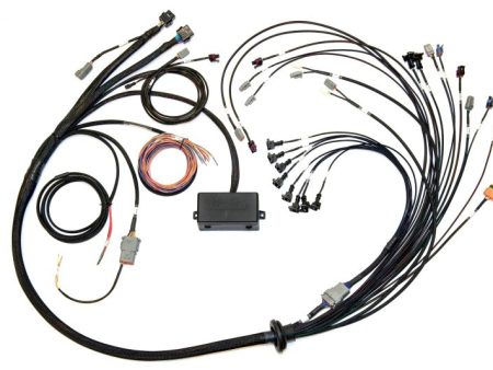 Haltech V8 Big Small Block GM Ford Chrysler Elite 2000 2500 Terminated Harness w EV1 Inj Connectors Discount