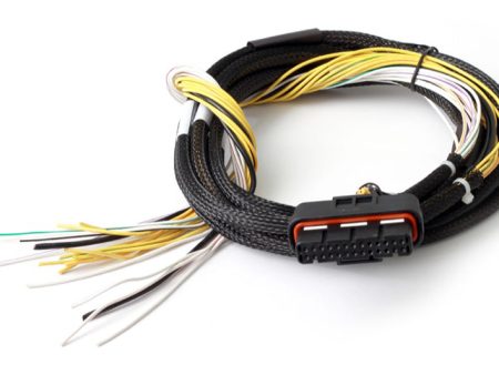 Haltech HPI8 High Power Igniter 2m Flying Lead (Loom Only) Online Hot Sale