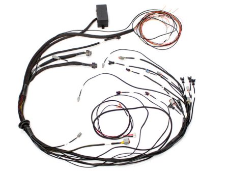 Haltech Mazda 13B (S6-8 CAS w IGN-1A Ignition) Elite 1000 Terminated Harness Online now