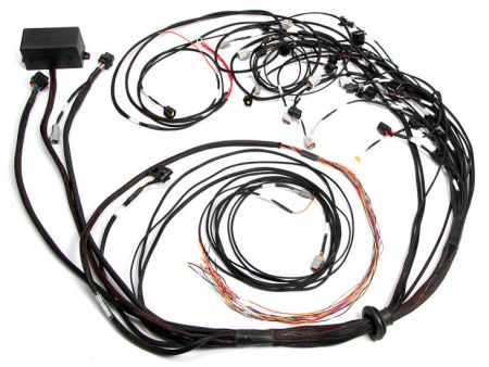 Haltech Ford Falcon FG Barra 4.0 Elite 2500 Terminated Harness w OE EV1 Injector Connectors Fashion