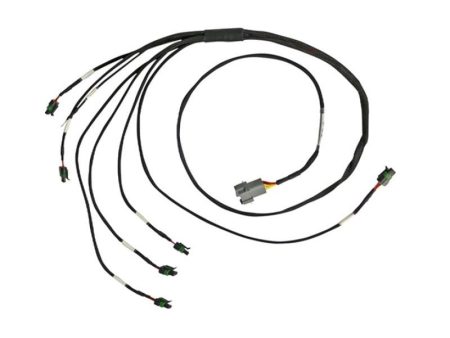 Haltech 8 Channel Individual High Output IGN-1A Inductive Coil to GM LS V8 Adaptor Sub-Harness Online Sale